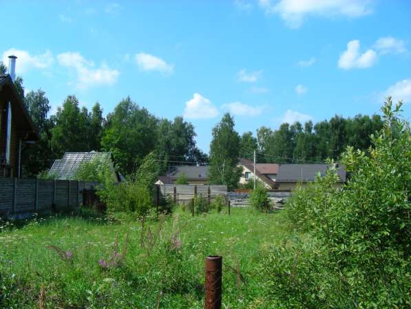 Правильный участок у леса, 15 км в Москве фото 11