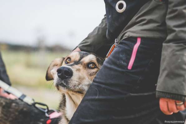 Нежнющий Купер в Москве фото 26