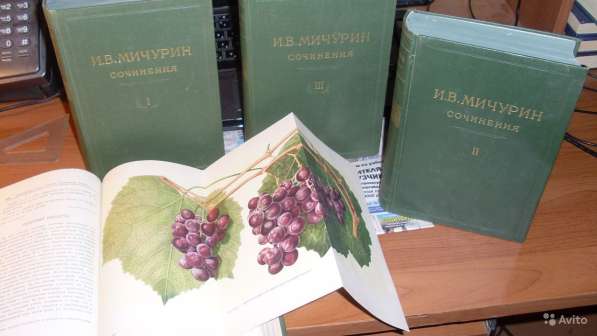 Продаю 4 тома И. В. Мичурина 1948года издания в Калуге фото 3