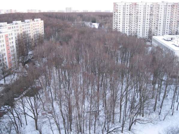 Продаю однокомнатную квартиру в Москве