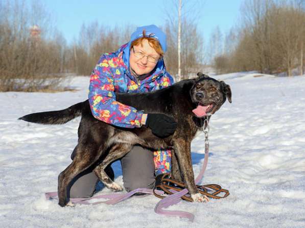 Очень добрая и компанейская собака Брунгильда в добрые руки в Москве фото 5