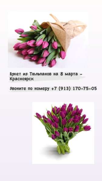 Тюльпаны