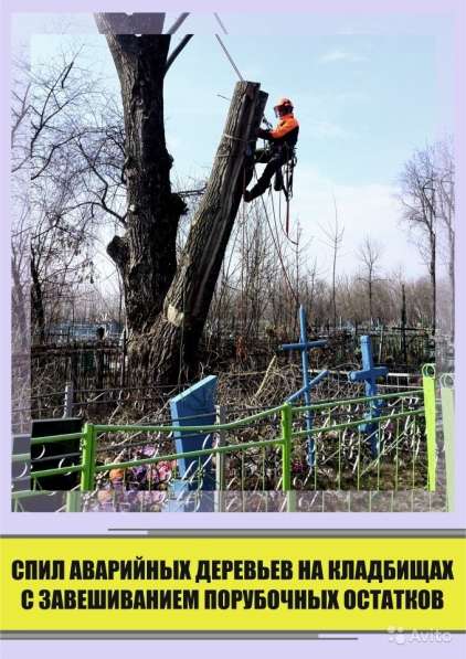 Спил, удаление деревьев в Курске в Курске фото 3
