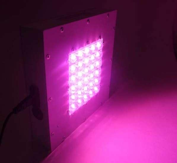 Системы светодиодного Фито освещения для растений