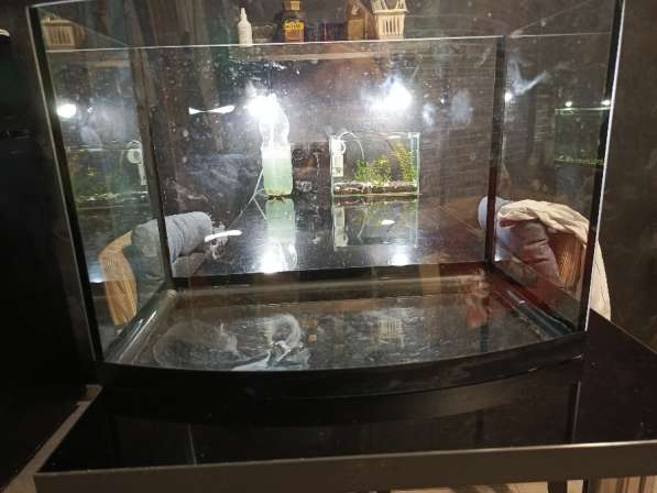 Продаются аквариум 50л в Санкт-Петербурге фото 3