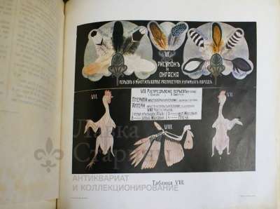 Атлас по птицеводству, Россия, 1914 г. в Москве фото 4