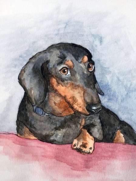 Рисую картины для вас в Люберцы