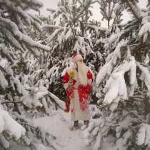 Дед Мороз и Снегурочка в детский сад и на дом!, в г.Брест
