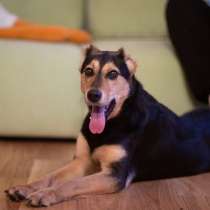 Молли ищет дом и человека, с которым будет делить каждое сча, в Москве