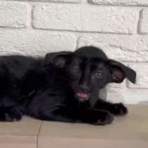 Ориентальный мальчик, в Челябинске