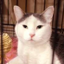 Приветливая Марсельеза настроена на перемены к лучшему, в Москве