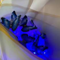 Букетики из бабочек, в Богдановиче