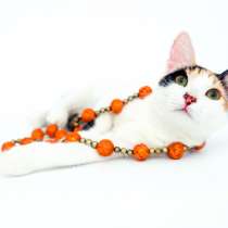 Красавица Миссисипи ищет свой первый настоящий дом, в Москве