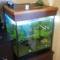 Продам аквариум-куб 160 литров, в г.Николаев