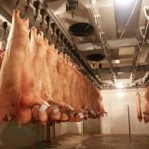 Крупное мясное высокодохое производство окупаемость 1,5 года, в Краснодаре