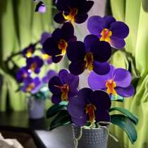Орхидеи светильники, в Брянске