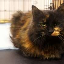 Скромная Октябрина ждёт свою семью, в Москве