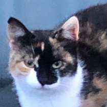 Маша, в Санкт-Петербурге