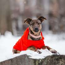 Стася ищет дом &mdash; и сердце, в котором она снова будет нужной, в Москве