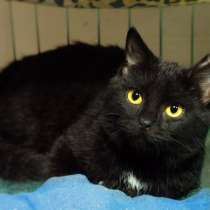 Милая Азиза ищет самый уютный дом, в Москве