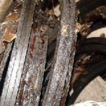 Кольца поршневые 190, 198, 200, 210, 220, 240 мм, в г.Полтава