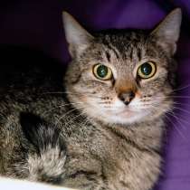 Застенчивая Эвелина в поисках надежного друга, в Москве