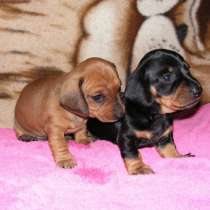 Такса Екатеринбург, в Екатеринбурге