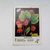Марка 4к 1982 год СССР Морошка, в Москве
