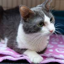 Скромный Тимоша в поисках любящей семьи, в Москве