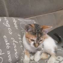 Срочно нужна заботливая семья, в г.Белиз