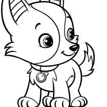 Возьму или куплю маленькую собачку. Жду предложения, в г.Йыхви