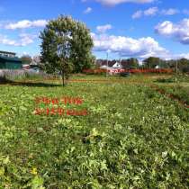 Участок в Антропшино, в Санкт-Петербурге