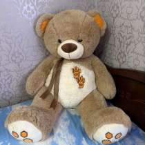 Большой медведь, в Краснодаре