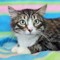 Красотка в пушистой шубке Марго в дар, в Москве