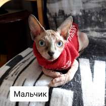 Милые малыши, в г.Берлин