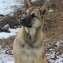 Ютта ищет любящую семью!, в г.Ухта