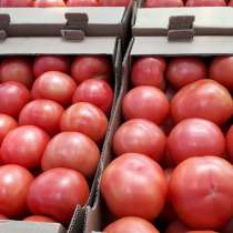 Продаем помидоры оптом в краснодарском крае, в Краснодаре