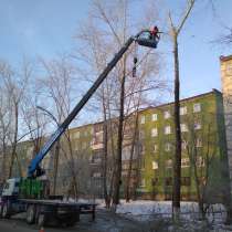 Профессиональная Обрубка и спил деревьев любой сложности, в Полевской