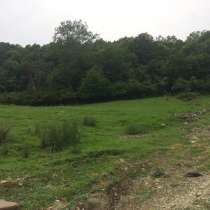 З/у 27 сот Каштаны, в Сочи