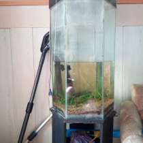 Продам стильный аквариум, в г.Усть-Каменогорск