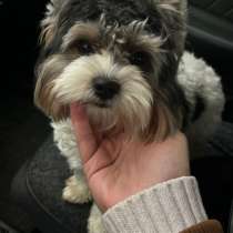 Вязка, в Минеральных Водах