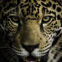 Чингиз, 49 лет, хочет познакомиться &ndash; Чингиз, 49 лет, хочет познакомиться, в Санкт-Петербурге