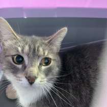 Шанс для Веснушки, в Москве