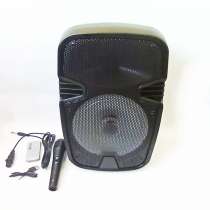 WF-801 Беспроводная портативная bluetooth колонка - чемодан, в г.Киев