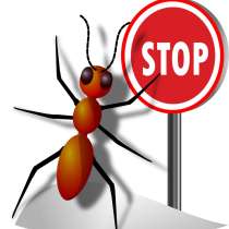 От муравьев. Избавим быстро. Надежно. С гарантией. Скидки, в Москве