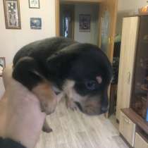 Умные, в Магнитогорске