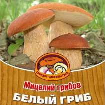 мицелий Грибов для создания грибниц дома, в Челябинске