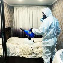 Дезинфекция от насекомых эффективно, в Барнауле