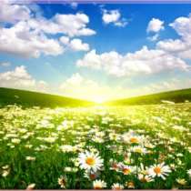 Картины и постеры для дома Магазин-Картин, в Самаре