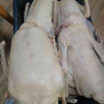 Мясо гуся, в Уфе